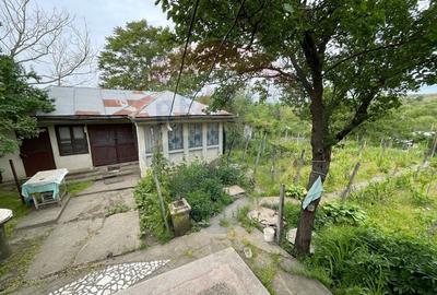 Casa si Teren Generos la Granita cu Republica Moldova! - 4