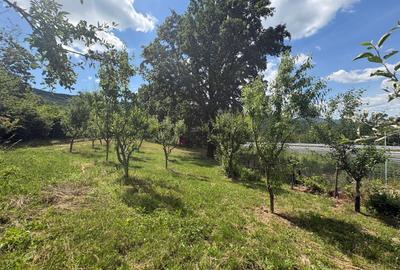 Casă individuală cu 3 camere cu Teren 3000 Mp în Exterior Est - 3