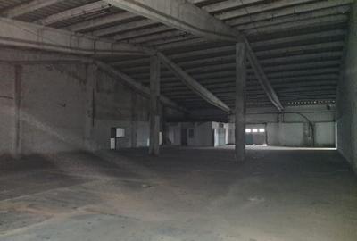 Hala DEPOZIT de inchiriat - 1