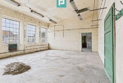 Spațiu versatil  250 mp de investiții în Periam - 4