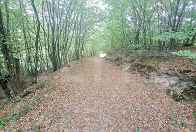 Casa de vanzare – Colonia 1 Mai 75.000 EURO - 10