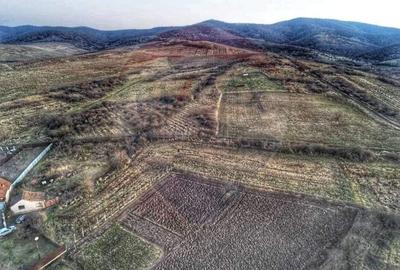Teren de 2,199 mp cu potential in Covasant, zona deal - 12