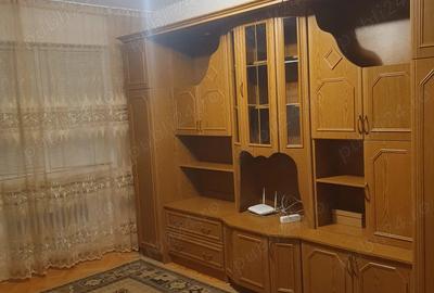 Apartament cu 2 camere decomandat în Valea Rosie - 8