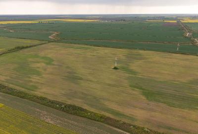 Teren agricol extravilan de 44700 mp, în Exterior Vest - 5