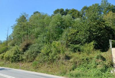 Resita, Teren Intravilan 700 Mp., 25 Euro/Mp., Calea Caranse - 5