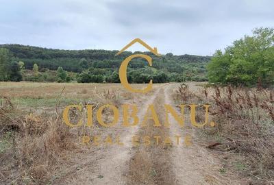 Teren Intravilan/Extravilan de vanzare in Bradestii Batrani - 9