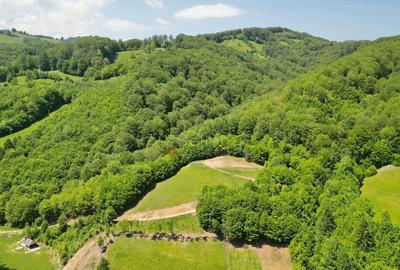 Teren extravilan Via Transilvanica - 3