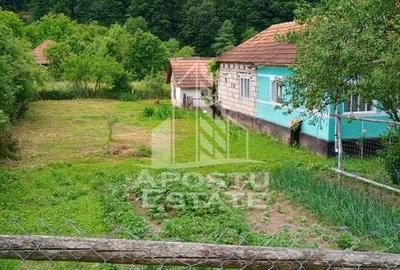 Casa bătrânească de vânzare | 4 camere | Hunedoara | Micănești - 35