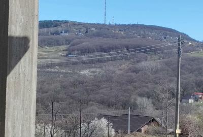 Teren de 3230 mp, în Vișani - 6