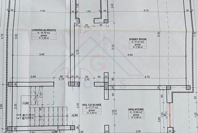 Casa mare. Posibil si clinica, camin batrani, invatamant, sediu firma. - 47