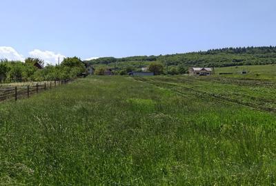 Teren de 2900 mp, în Tureni