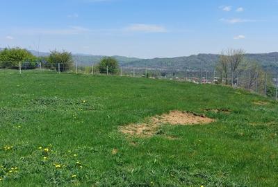 Teren Campina varful Muscel - 7