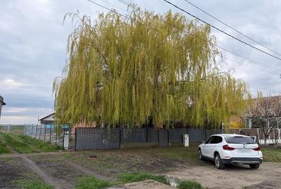 Casă cu 7 camere cu Teren 550 Mp în Dudeștii Noi - 5