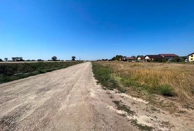 Teren Construcții extravilan de 20000 mp, în Domnești - 4