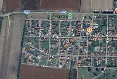 Spațiu comercial, în Moșnița Nouă