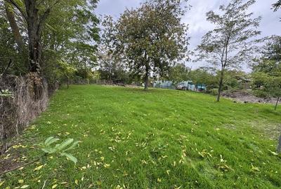 Spațiu comercial, în Bolintin-Deal - 7