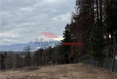 Teren de 15470 mp, în Prundu Bârgăului - 8