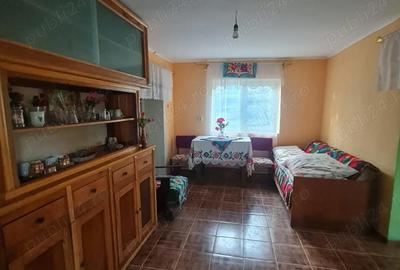 Casă cu 3 camere cu Teren 7000 Mp în Asuaju de Sus - 4