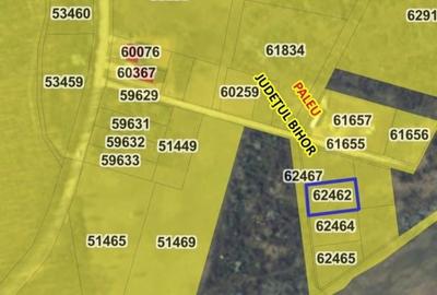 Teren intravilan de vanzare - 902 mp, Paleu, Bihor | PUZ aprobat - 10