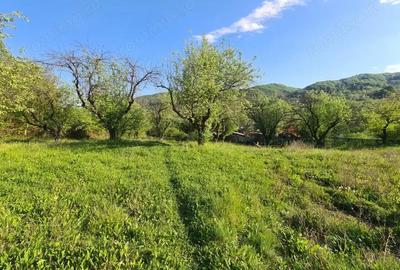 Teren de 950 mp, în Păușești - 5