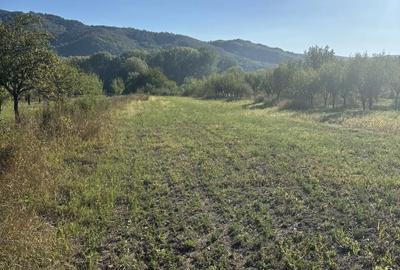 Teren de 4400 mp, în Central - 1
