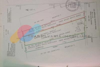 Teren intravilan 1.000 mp in Borhanci, ideal pentru casa, cu drum de servitute - 4