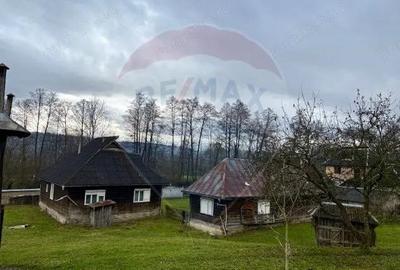 Casa traditionala+anexe gospodaresti in Giulesti Maramures - 1