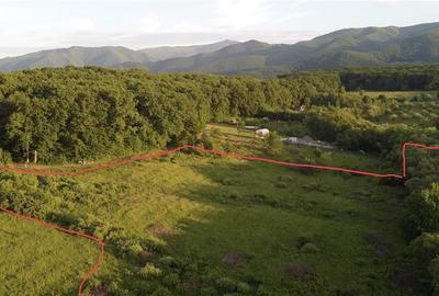 Teren Construcții intravilan de 14100 mp, în Cisnădie - 5