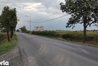Teren de 30000 mp, în Ghiroda - 2