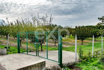 Teren în Sârbova - 6