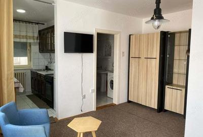 Garsoniera zona Drumul Taberei - 4