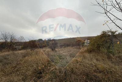 Teren intravilan de vânzare 2.307 mp – Sălicea, comuna Ciurila - 6