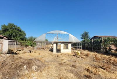 Casa cu teren impresionant in Targu Jiu - 7