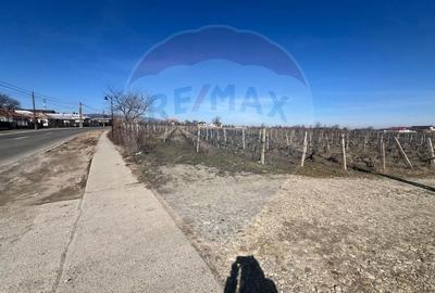 Teren intravilan Unirea Odobesti / Strada Grozesti - 4