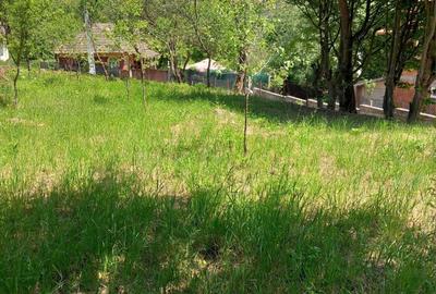 Teren de 909 mp, în Ciumărna