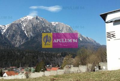 Teren de vânzare în Bușteni - Zona Zamora - 20