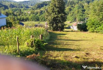 Teren de 7000 mp, în Ștubeie Tisa - 9
