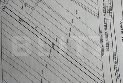 Teren 5000 mp, deschidere 13 ml, Bals - 1