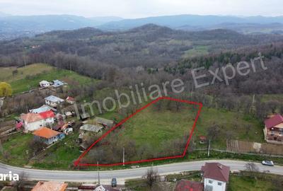 Teren de 2674 mp, în Cepari - 5