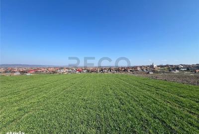 Teren de 5375 mp, în Oșorhei