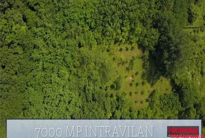 Valea Budului - Teren intravilan. Lac. Padure - 15