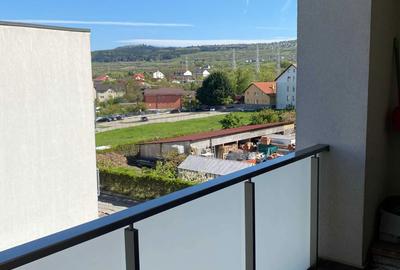 Apartament cu 2 camere semidecomandat în Dosu Bricii - 8