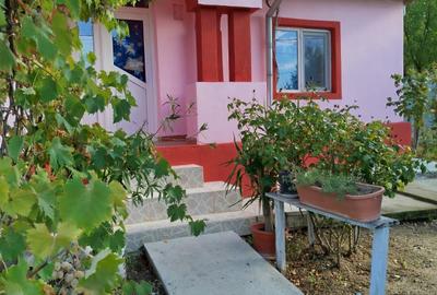 VANZARE CASA INDIVIDUALA LA CHEIE - 23