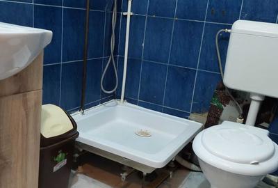 Garsonieră decomandată în Drumul Carului - 5