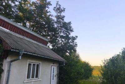 Casă cu 2 camere cu Teren 3500 Mp în Negostina - 1