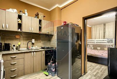 Apartament cu 1 camera la casa de vanzare Andrei Saguna Arad - 2