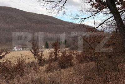 Teren de 3300 mp, în Ciurila - 4