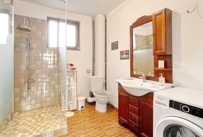 Complex de 3 case pe 18000 mp teren - 11