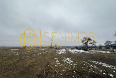 Teren intravilan de vanzare în Tohanul Nou - 1