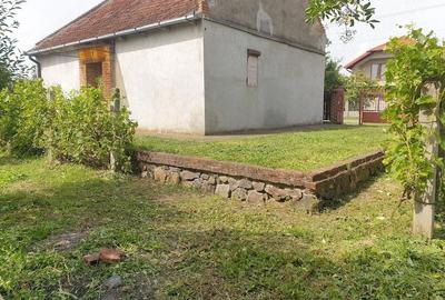 Casă cu 2 camere cu Teren 25000 Mp în Nisipeni - 8